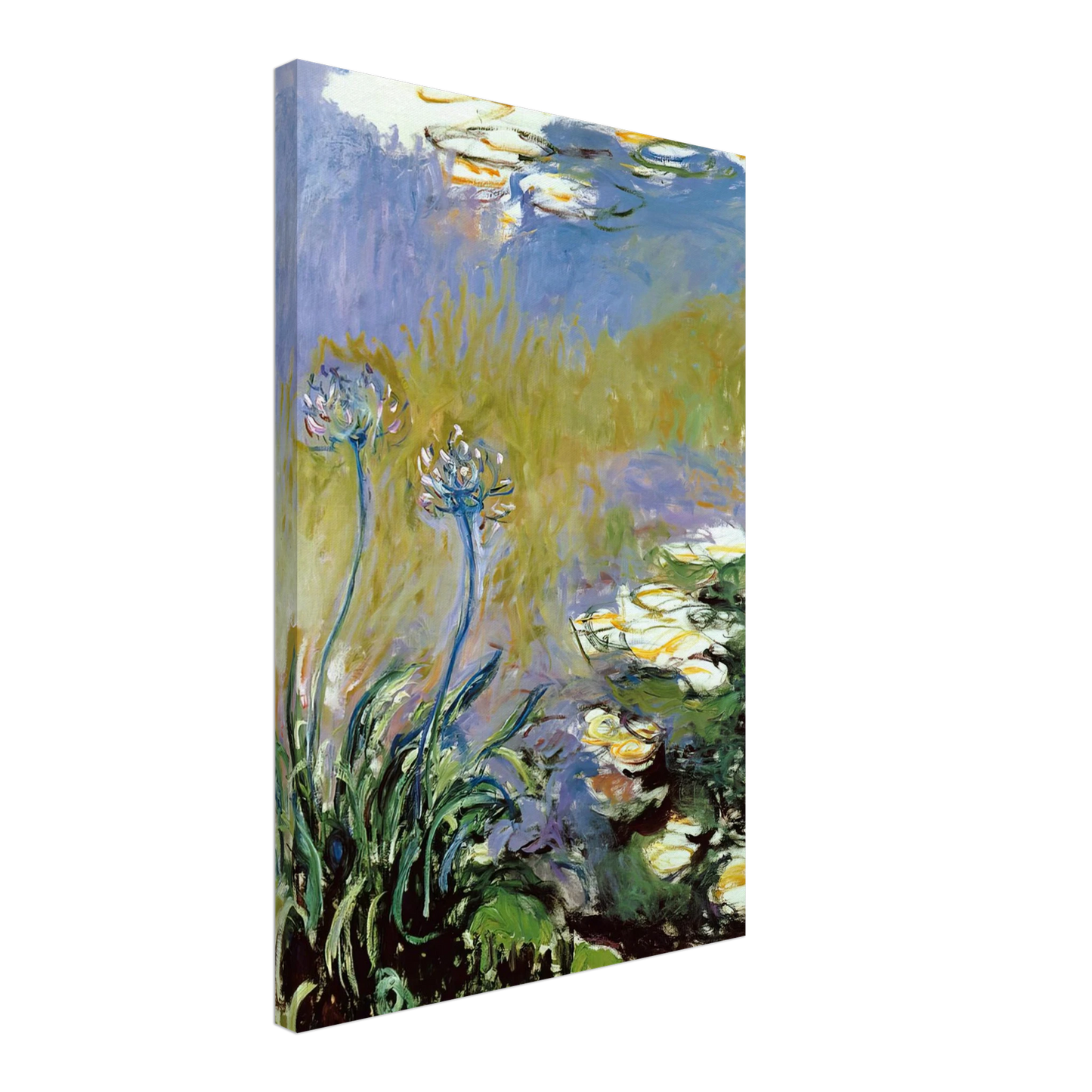 claude monet - Agapanthus Canvas - 40x60 cm / 16x24 inches-canvas
