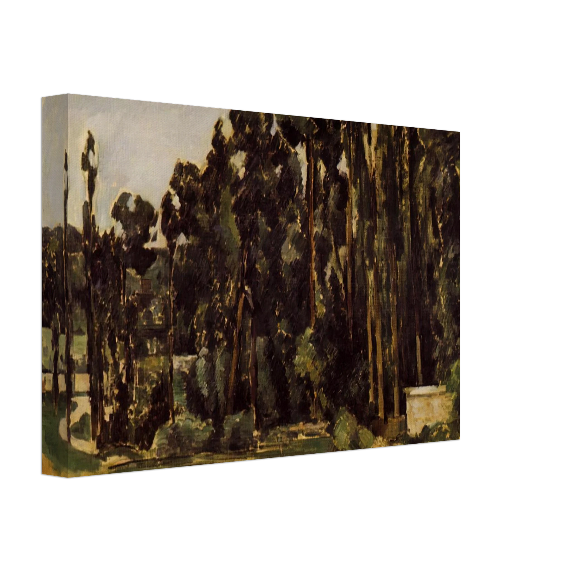 Paul Cezanne - Poplars Canvas - 40x60 cm / 16x24 inches-canvas