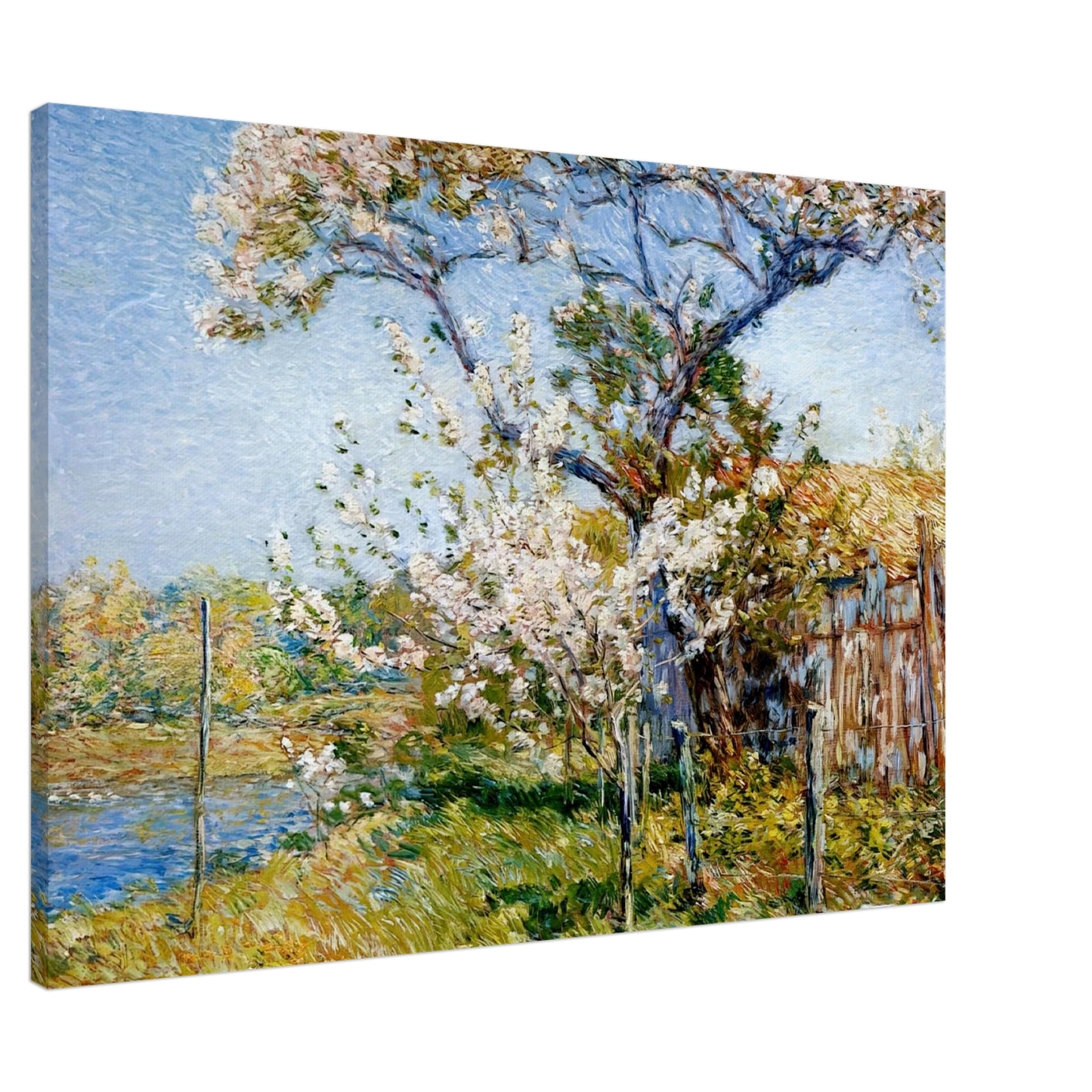 Childe Hassam - Apple Trees in Bloom, Old Lyme Canvas - Default Title-canvas