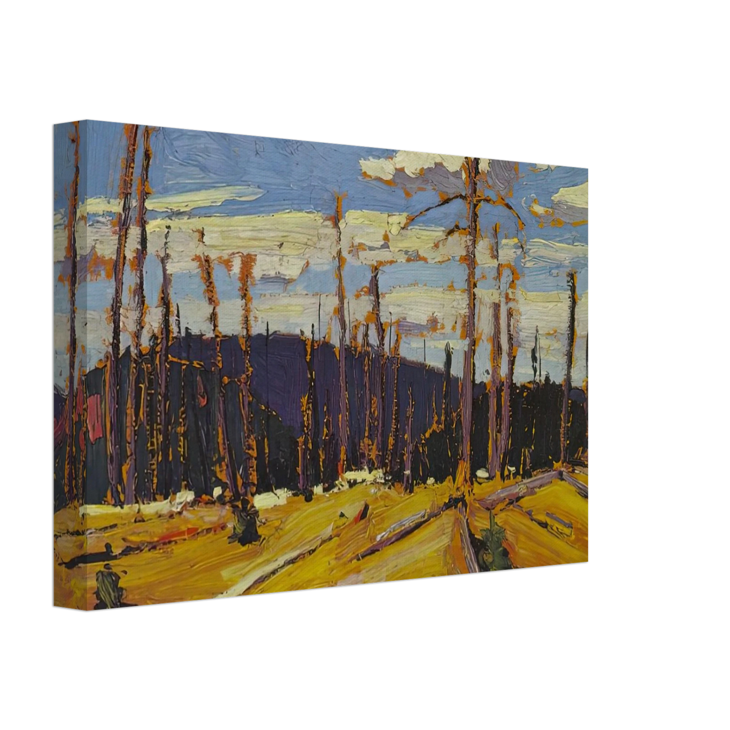 Tom Thomson - BURNT OVER FOREST 1916 Canvas - 40x60 cm / 16x24 inches-canvas