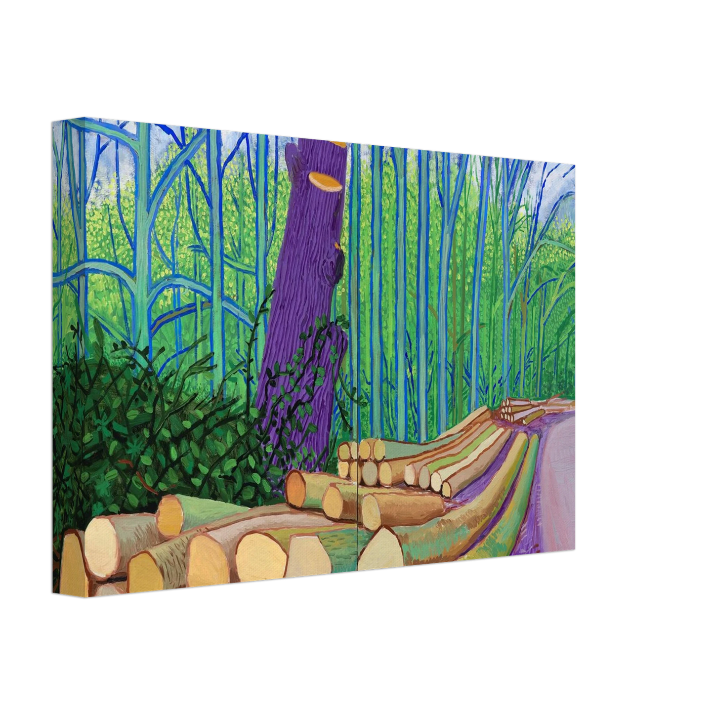 David Hockney - David Hockney Canvas - 40x60 cm / 16x24 inches-canvas