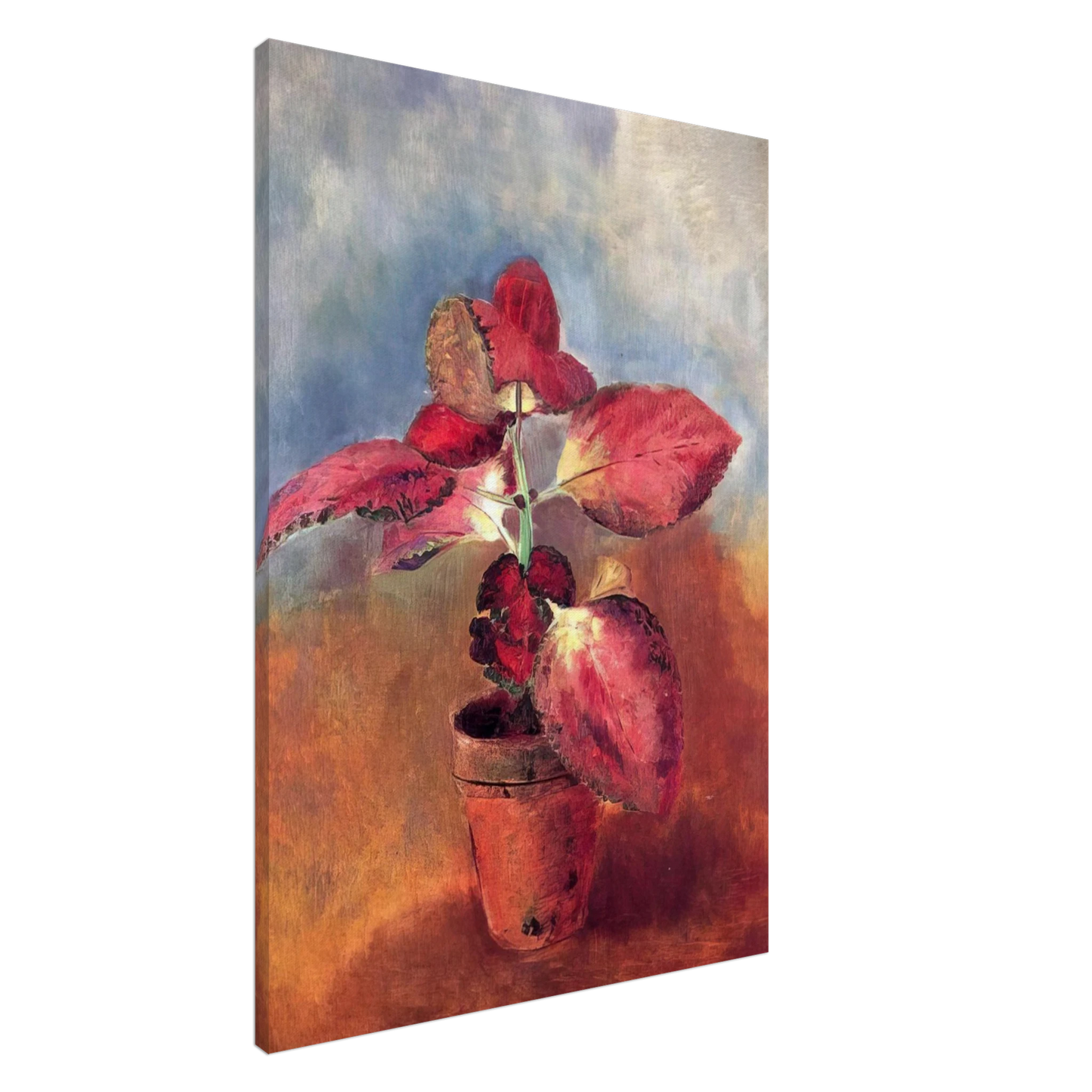 Odilon Redon - BEGONIA IN A POT Canvas - 20x30 cm / 8x12 inches-canvas
