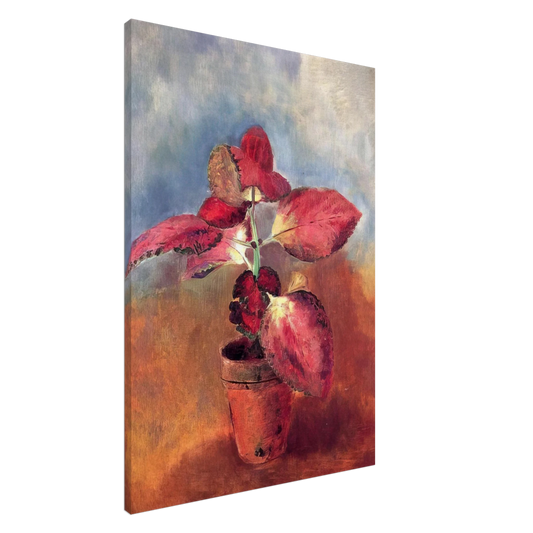 Odilon Redon - BEGONIA IN A POT Canvas - 20x30 cm / 8x12 inches-canvas