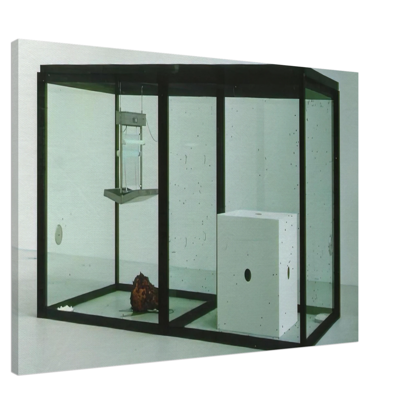 Damien Hirst - A THOUSAND YEARS Canvas - 20x30 cm / 8x12 inches-canvas